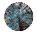 Image1
